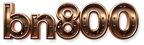 bn800 logo